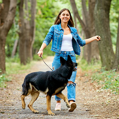 Woman walking her German Shepard