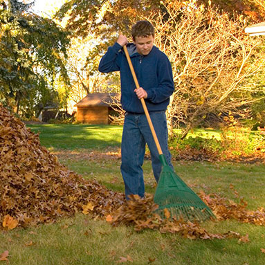 Man raking leaves