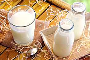 Cow's Milk